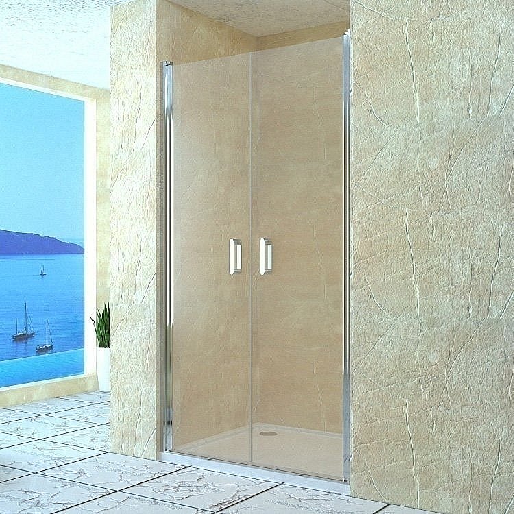 Душевая дверь RGW Leipzig LE-06 100 купить в интернет-магазине Sanbest