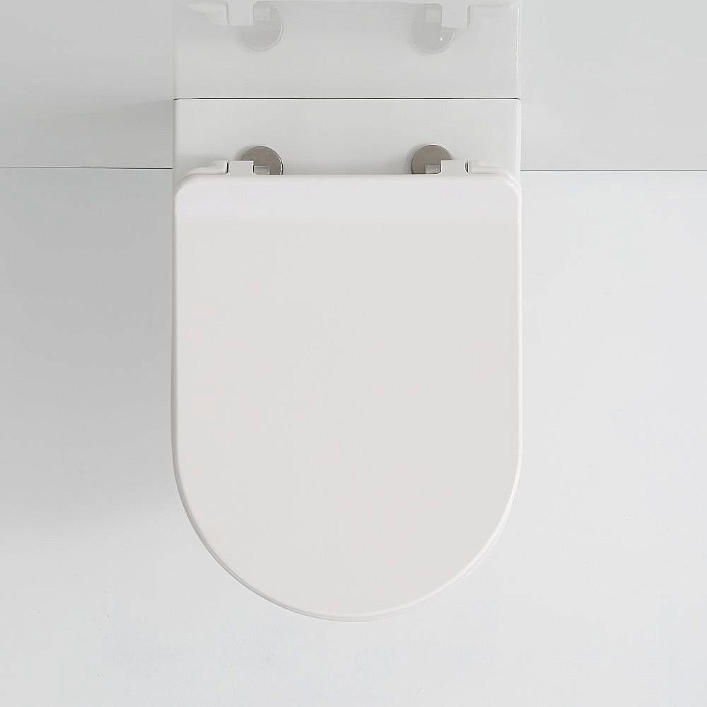 Унитаз подвесной SSWW CT2039V безободковый, с крышкой микролифт купить в интернет-магазине Sanbest