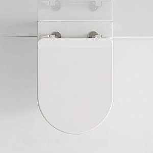 Унитаз подвесной SSWW CT2039V безободковый, с крышкой микролифт купить в интернет-магазине Sanbest