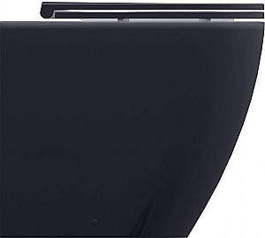 Унитаз приставной Allen Brau Reality 4.32004.AN антрацит матовый, безободковый, с крышкой микролифт купить в интернет-магазине Sanbest