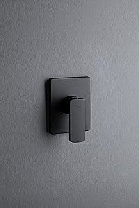 Смеситель для душа Allen Brau Infinity X1 5.21015-31 купить в интернет-магазине сантехники Sanbest