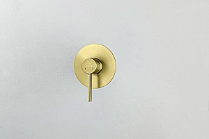 Cмеситель для душа Aquatek Европа AQ1366BG золото шлифованное купить в интернет-магазине сантехники Sanbest