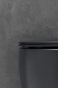 Унитаз Allen Brau Fantasy 4.11004.31 безободковый, с крышкой микролифт, черный купить в интернет-магазине Sanbest