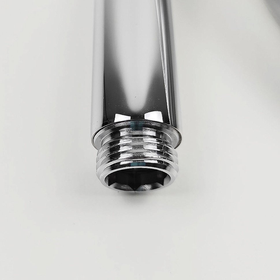 Душевая лейка PAINI 53CR155/P4 хром купить в интернет-магазине сантехники Sanbest