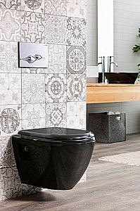 Унитаз подвесной Creavit SINGLE TP325.B0000 чёрный, безободковый, с функцией биде купить в интернет-магазине Sanbest