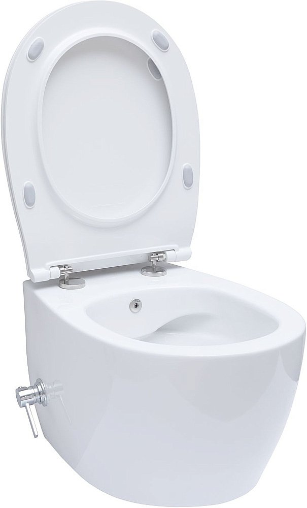 Унитаз Allen Brau Fantasy 4.11HC1.20 безободковый, с крышкой микролифт, белый купить в интернет-магазине Sanbest