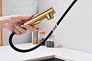 Смеситель для кухни Paulmark Neo Ne214419-BG матовое золото купить в интернет-магазине сантехники Sanbest