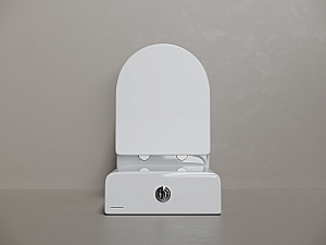 Унитаз напольный Ceramica Nova Mia CN1801T-B/CN1801T-T белый, безободковый, с крышкой микролифт, слив торнадо купить в интернет-магазине Sanbest