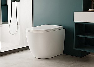 Унитаз напольный Abber Bequem AC1111TMW белый матовый, безободковый, с крышкой микролифт, слив-торнадо купить в интернет-магазине Sanbest