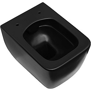 Унитаз подвесной Allen Brau Liberty 2 4.33007.31 черный матовый, безободковый купить в интернет-магазине Sanbest