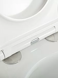 Унитаз подвесной Cezares GRANDE CZR-308-TH-TOR/SC белый, безободквый, смыв торнадо купить в интернет-магазине Sanbest