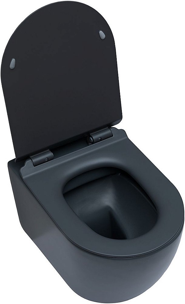 Унитаз подвесной Aquanet Rimless Cetus-GW BL-102N-WHT серый с крышкой микролифт, безободковый купить в интернет-магазине Sanbest