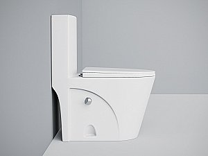 Унитаз-моноблок с функцией биде Laguraty 2100AC с крышкой микролифт купить в интернет-магазине Sanbest