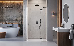 Душевая дверь Radaway Essenza 8 Brushed GunMetal DWJ 110 R стекло прозрачное/профиль брашированная оружейная сталь купить в интернет-магазине Sanbest