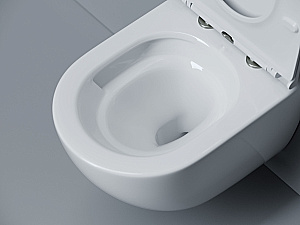 Унитаз подвесной Ceramica Nova Alba CN11005T белый, безободковый, с крышкой микролифт, слив торнадо купить в интернет-магазине Sanbest