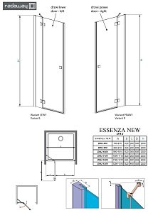 Душевая дверь Radaway Essenza New DWJ 120 купить в интернет-магазине Sanbest