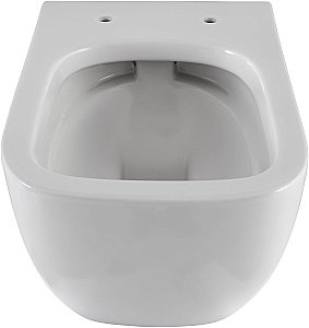 Унитаз Allen Brau Infinity 4.21004.20 безободковый, с крышкой микролифт, белый купить в интернет-магазине Sanbest