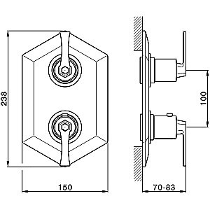 Смеситель для душа Cisal CHERIE CF0191007C золото/черный матовый купить в интернет-магазине сантехники Sanbest