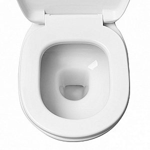 Унитаз-компакт IDDIS Calipso CAL2DSEi24 с бачком, с крышкой микролифт купить в интернет-магазине Sanbest