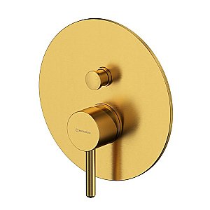 Смеситель для душа WhiteCross Y Y1235GLB матовое золото купить в интернет-магазине сантехники Sanbest