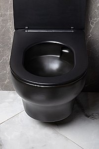 Унитаз подвесной Boheme Fiore 978-SET-B черный матовый, безободковый, с крышкой микролифт, слив торнадо купить в интернет-магазине Sanbest