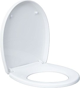 Унитаз подвесной Aquanet ZV-1 белый с крышкой микролифт, безободковый, слив-торнадо купить в интернет-магазине Sanbest