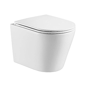 Унитаз подвесной Caprigo TRONE T-1893 безободковый, смыв торнадо, с крышкой микролифт, белый купить в интернет-магазине Sanbest