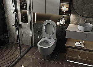 Унитаз подвесной ABBER Bequem AC1104MG с крышкой микролифт, безободковый, серый матовый купить в интернет-магазине Sanbest