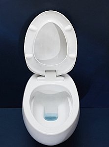 Унитаз подвесной Laufen Alessi One 8.2097.1.400.000.1 купить в интернет-магазине Sanbest