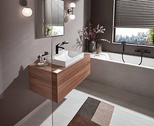 Смеситель для раковины Hansgrohe Vivenis 75020670 купить в интернет-магазине сантехники Sanbest