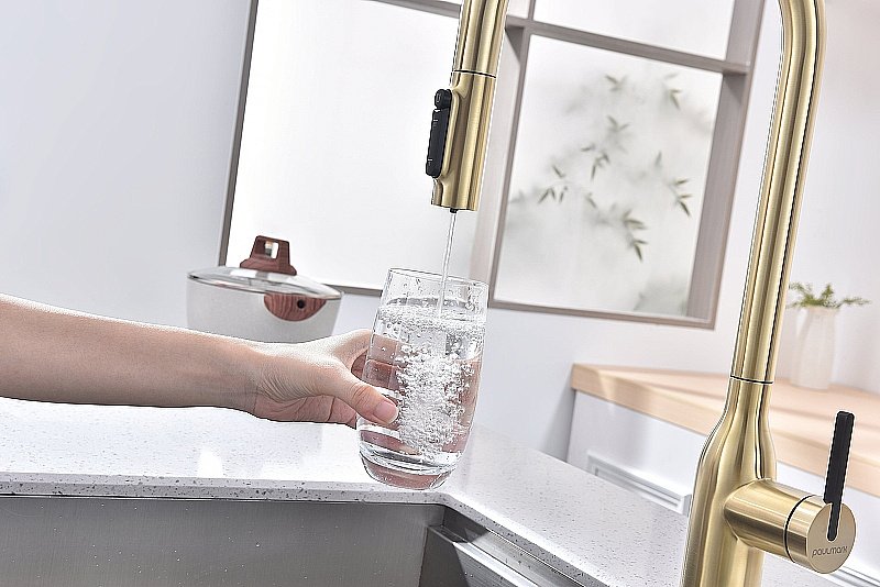 Смеситель для кухни Paulmark Universal Un213880-LG светлое золото купить в интернет-магазине сантехники Sanbest