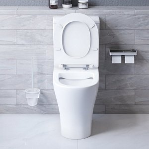 Унитаз Damixa SIRIUS DX86C8600SC белый, с крышкой микролифт, с бачком, безободковый купить в интернет-магазине Sanbest