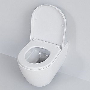 Унитаз Ambassador Queen 113T20001R-112T20001S белый, безободковый, с крышкой микролифт купить в интернет-магазине Sanbest