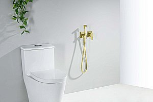 Гигиенический душ Aquatek Оберон AQ1220BG золото шлифованное купить в интернет-магазине сантехники Sanbest