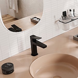 Смеситель для раковины WasserKRAFT Bever 2403 черный матовый купить в интернет-магазине сантехники Sanbest