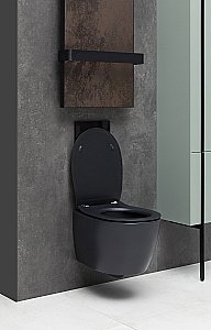 Унитаз Allen Brau Fantasy 4.11004.31 безободковый, с крышкой микролифт, черный купить в интернет-магазине Sanbest