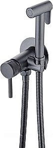 Гигиенический душ Allen Brau Priority 5.31A29-MG брашированный графит купить в интернет-магазине сантехники Sanbest