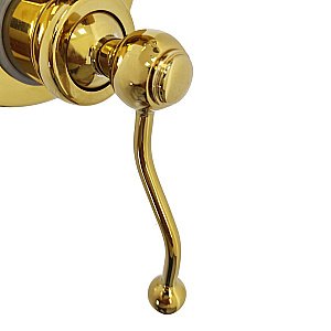 Смеситель для душа PAINI Duomo 88OP6911 золото купить в интернет-магазине сантехники Sanbest