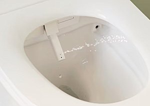 Унитаз подвесной Jacob Delafon Seine E34360-00 безободковый, с крышкой-биде и пультом управления, с инсталляцией, белый/кнопка белая глянцевая купить в интернет-магазине Sanbest