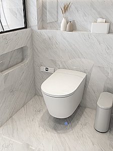 Электронный унитаз-биде ABBER Bequem AC1121S белый, с крышкой микролифт купить в интернет-магазине Sanbest