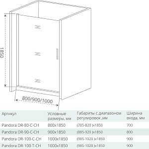 Душевая дверь Good Door PANDORA DR-100-C-CH купить в интернет-магазине Sanbest