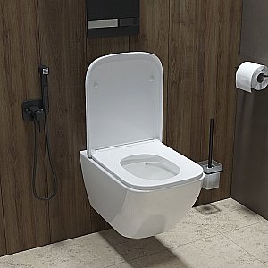 Унитаз подвесной Iddis Torr TORRDSEi25 безободковый, с крышкой микролифт купить в интернет-магазине Sanbest