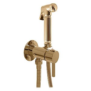 Гигиенический душ Rav-Slezak Seina SE843/1Z золото купить в интернет-магазине сантехники Sanbest