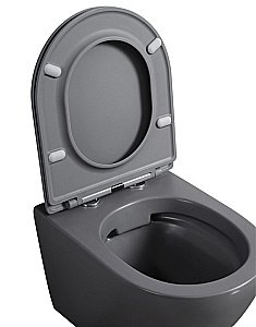 Унитаз подвесной ABBER BEQUEM AC1101MG с крышкой микролифт, безободковый, серый матовый купить в интернет-магазине Sanbest