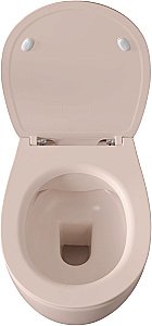 Унитаз Allen Brau Fantasy 4.11004.SM безободковый, розовый купить в интернет-магазине Sanbest