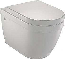 Унитаз подвесной Jacob Delafon RODIN EDC102-00 купить в интернет-магазине Sanbest