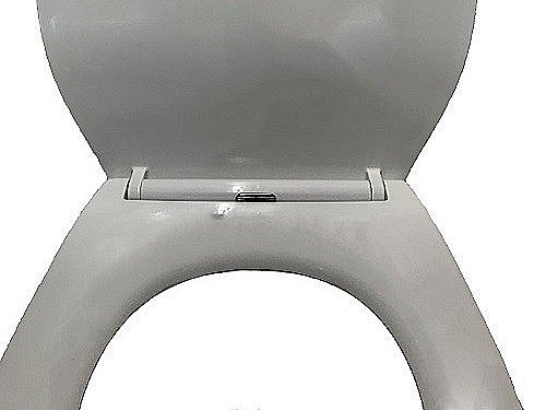 Унитаз подвесной Ceramalux CL-2101 белый, безободковый, с крышкой микролифт купить в интернет-магазине Sanbest