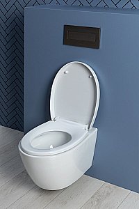 Унитаз подвесной Aquanet ZV-1 белый с крышкой микролифт, безободковый, слив-торнадо купить в интернет-магазине Sanbest