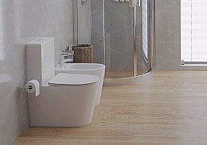 Унитаз-компакт Aquatek Вега AQ2904-00 белый, с крышкой микролифт, с бачком, безободковый купить в интернет-магазине Sanbest