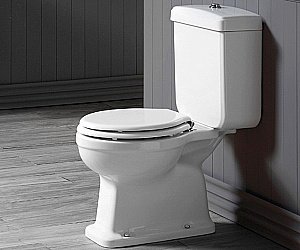 Унитаз напольный SIMAS Londra LO931 с бачком, белый купить в интернет-магазине Sanbest